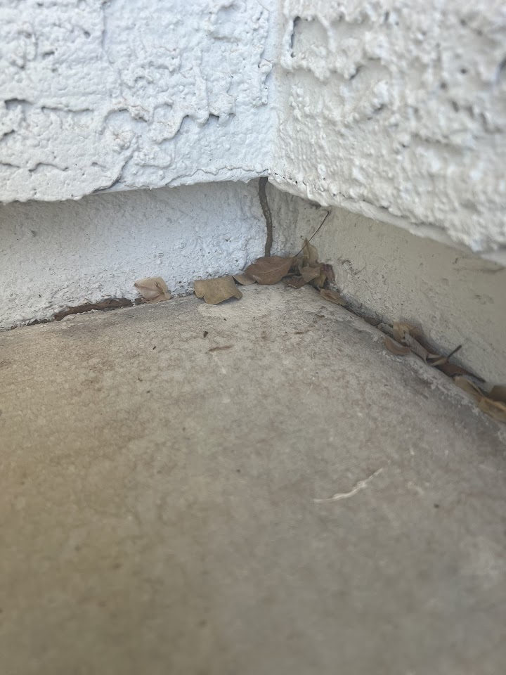 Budget Brothers Termite & Pest Elimination project
